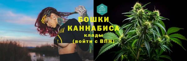 шишки Богородицк