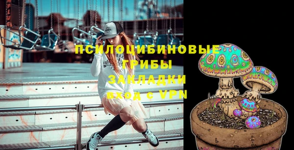 спиды Богородск