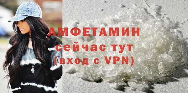 шишки Богородицк