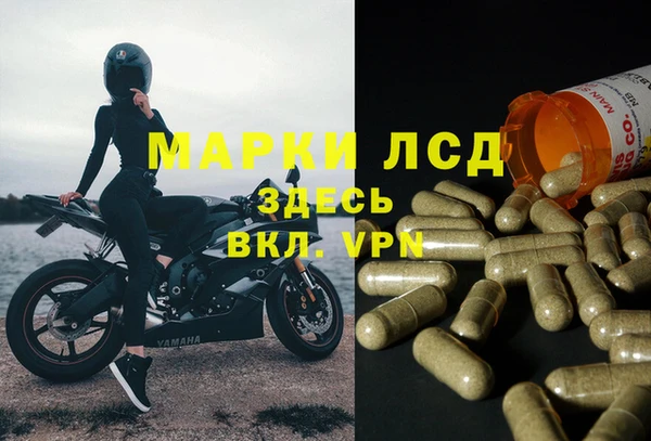 спиды Богородск