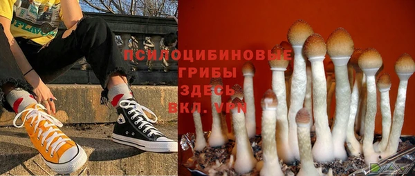 шишки Богородицк