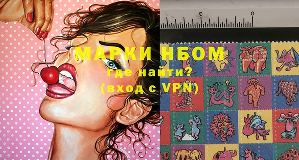 шишки Богородицк