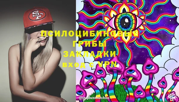 шишки Богородицк