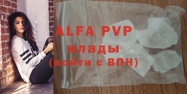 спиды Богородск