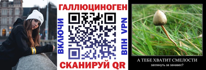 дарк нет официальный сайт  Кстово  Галлюциногенные грибы прущие грибы 